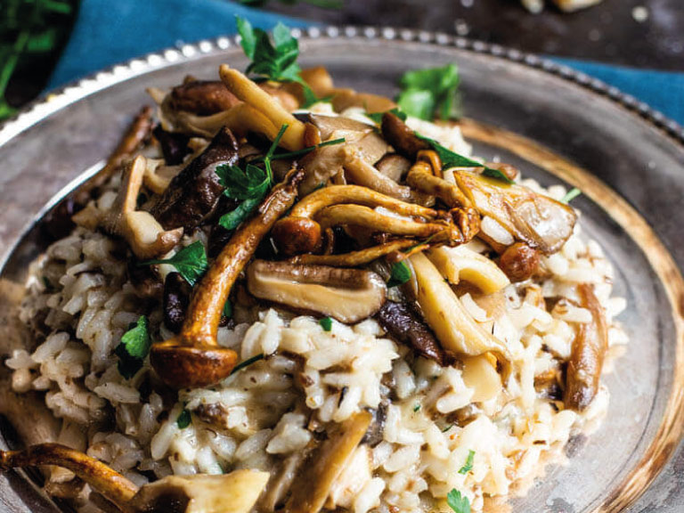 truffelrisotto truffelrisotto