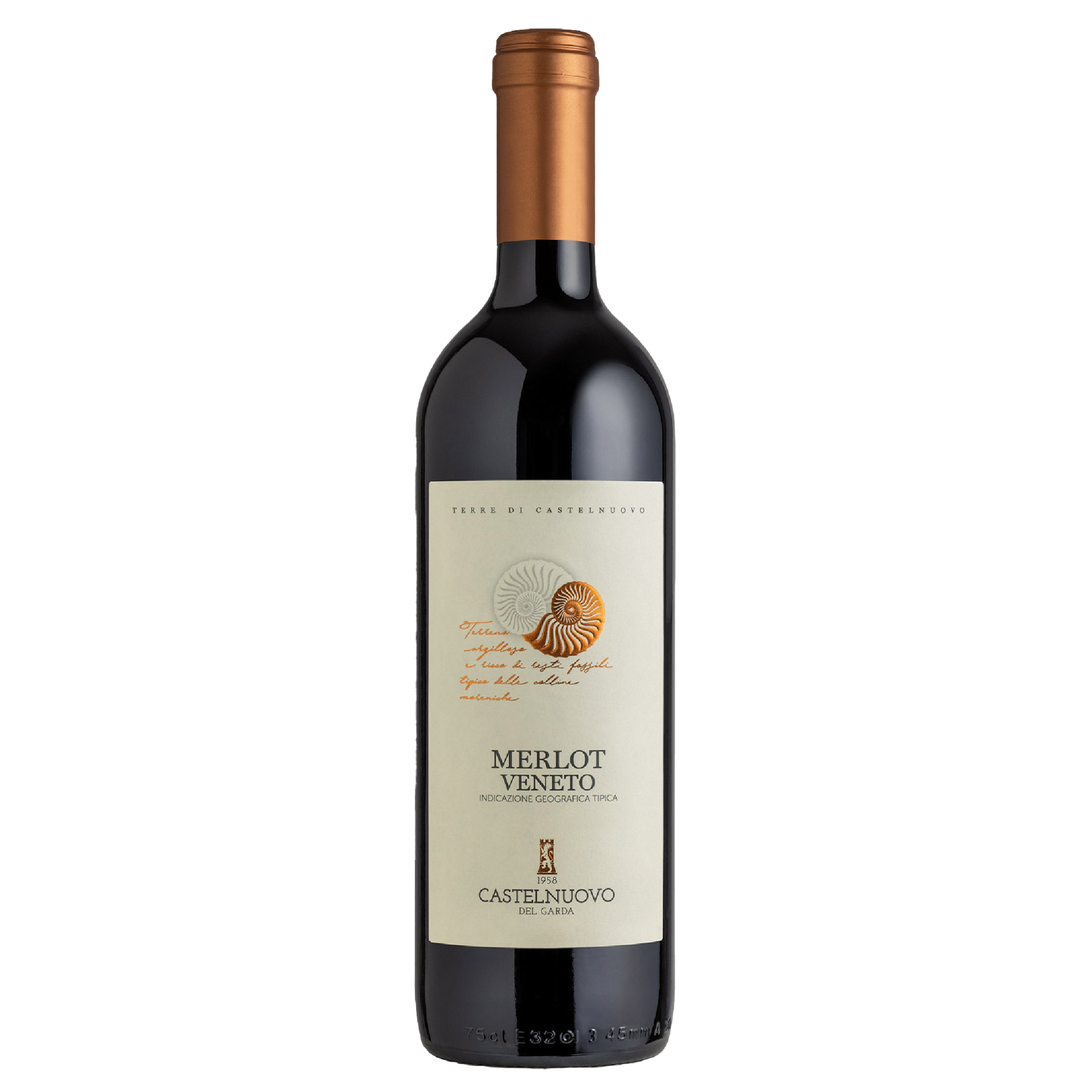 Cantina Di Castelnuovo  Merlot Cantina Di Castelnuovo  Merlot